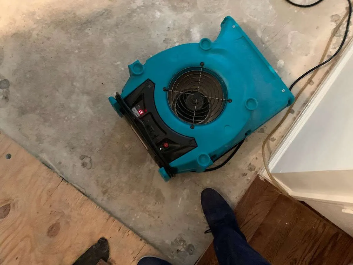 Air mover drying subfloor during Leak Detection & Repair in Shoreline